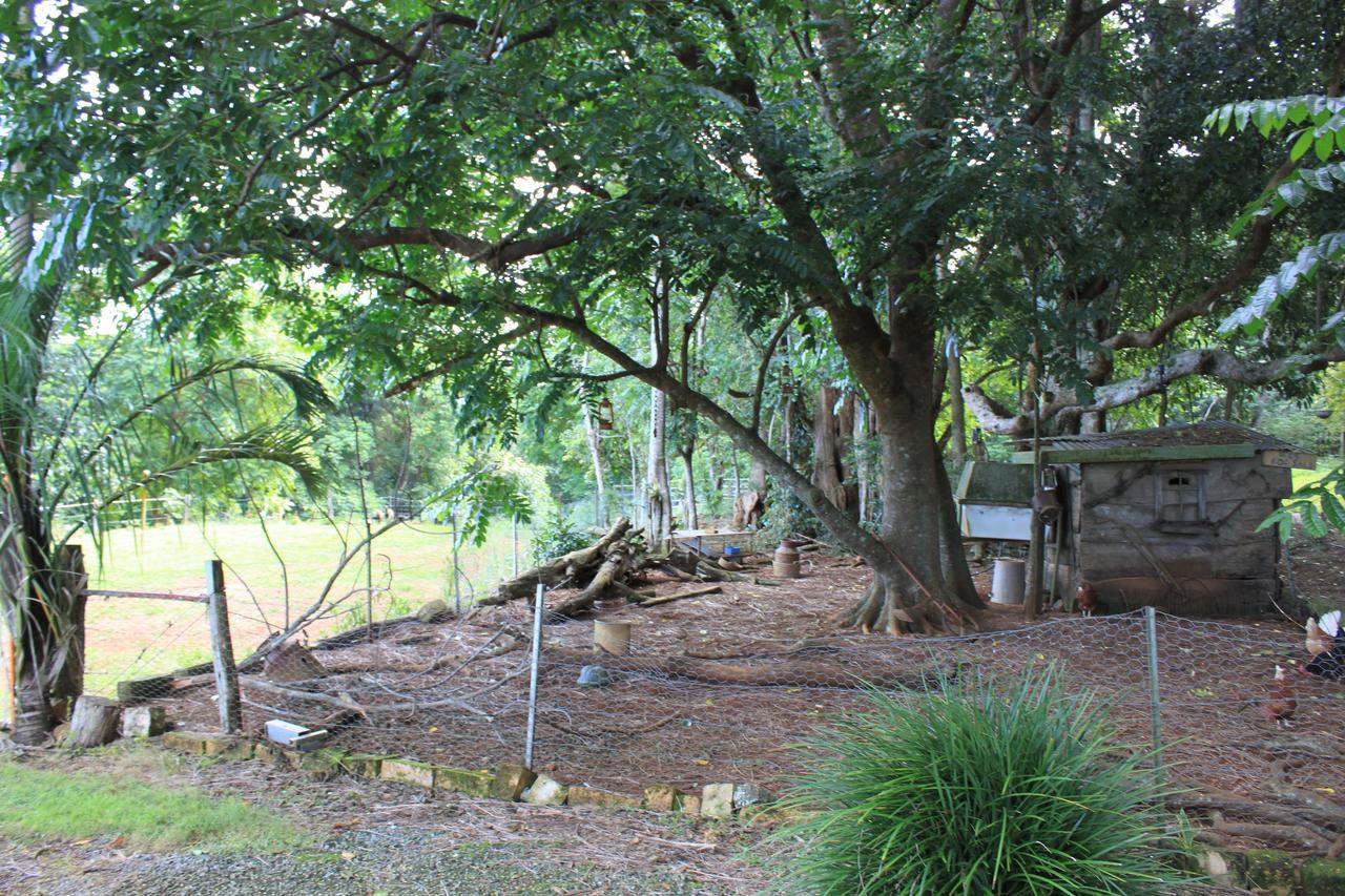 Alstonville Country Cottages Экстерьер фото